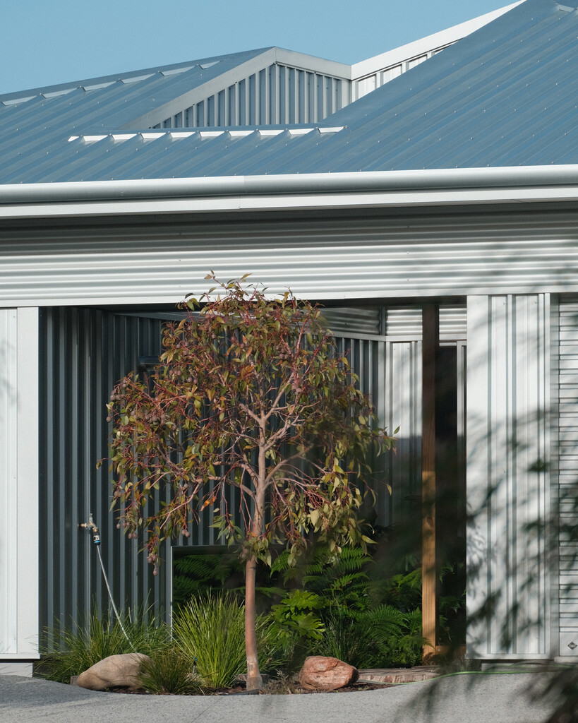 ZINCALUME steel roofing and walling in Fielders TL-5 profile. Kealy House WA